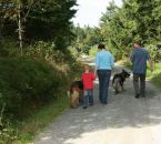 urlaub-mit-hund-in-bayern 006