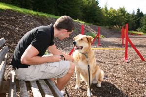 Urlaub mit Hund in Bayern im Bayerischen Wald